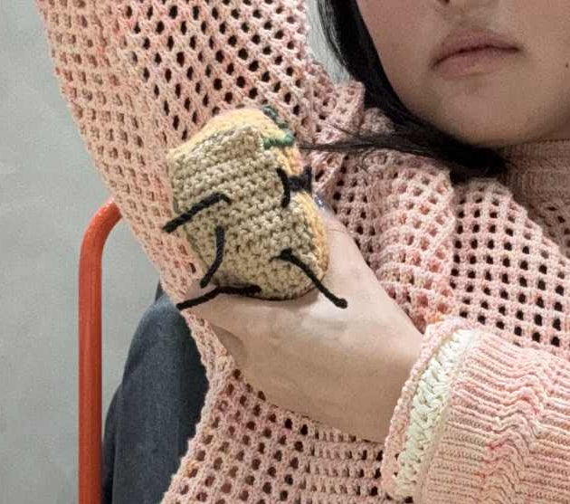 Layers of the Skin Lasagna